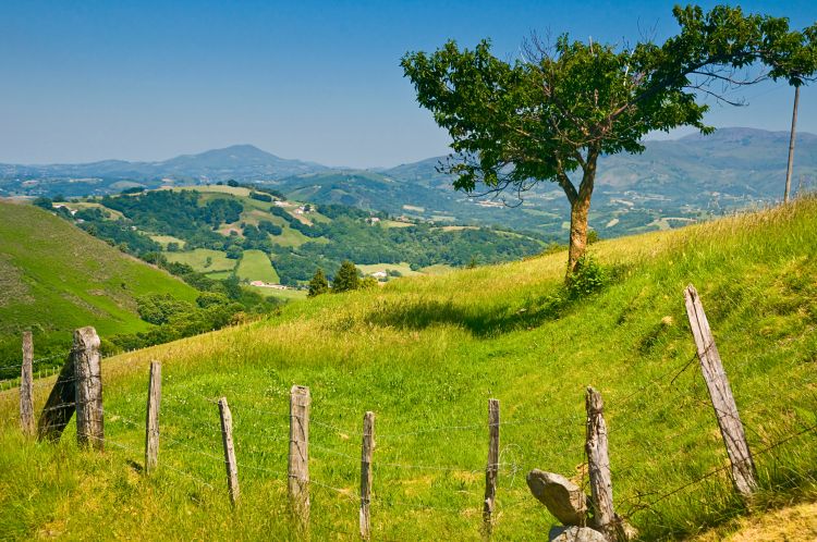 Trouvez votre maison ou appartement dans le Pays Basque avec l'agence AAJ Immobilier ! Trouvez votre maison ou appartement dans le Pays Basque avec l'agence AAJ Immobilier !