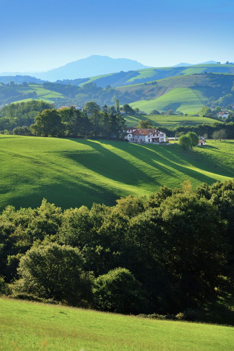 Les habitations traditionnelles du Pays Basque sont très prisées sur le marché immobilier Les habitations traditionnelles du Pays Basque sont très prisées sur le marché immobilier