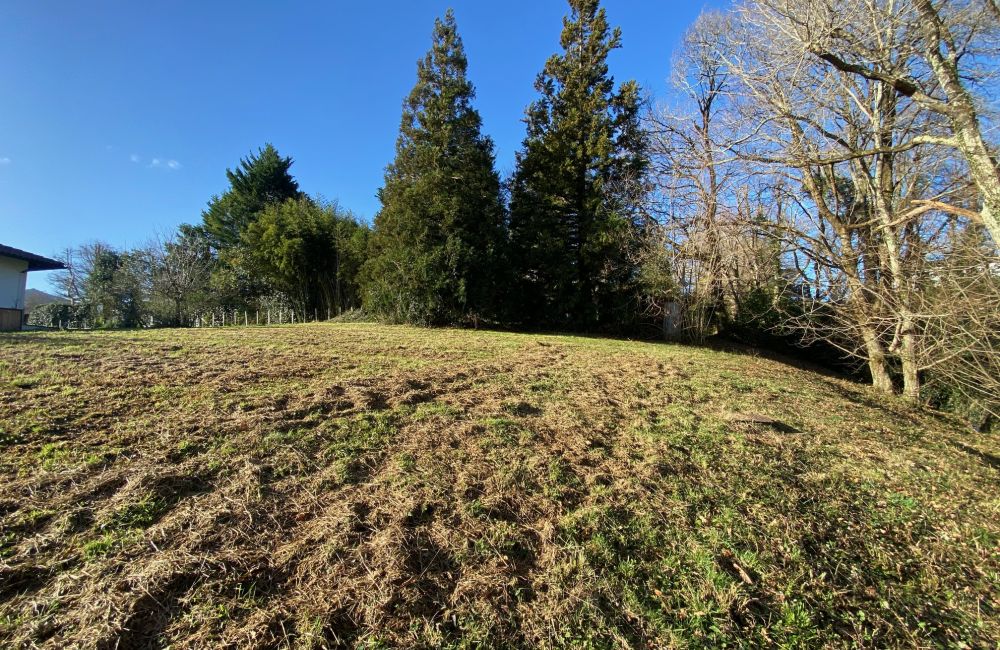 Vente terrain Ascain Pyrénées-Atlantiques