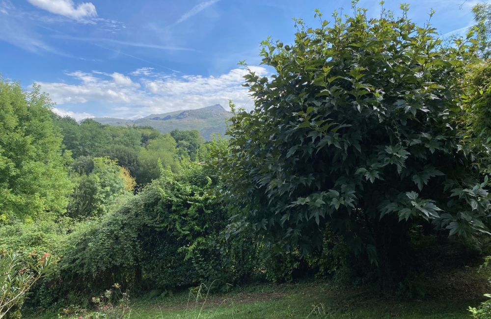 Vente terrain + maison Ascain Pyrénées-Atlantiques
